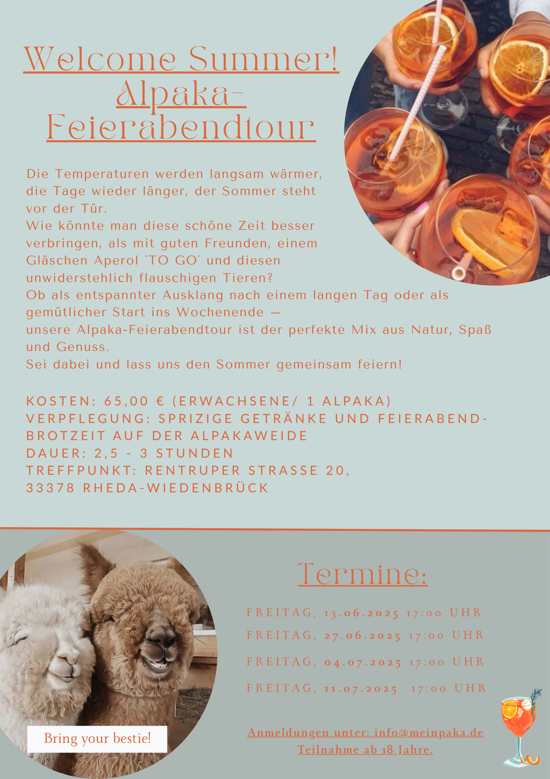 NEU! Alpaka Feierabend-Tour